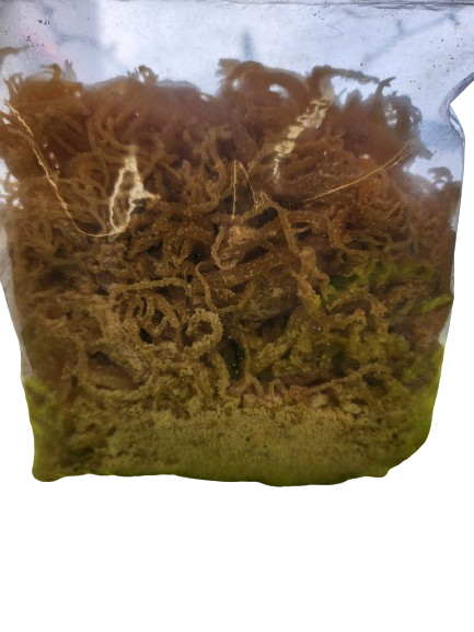 Raw Sea moss 1 lb