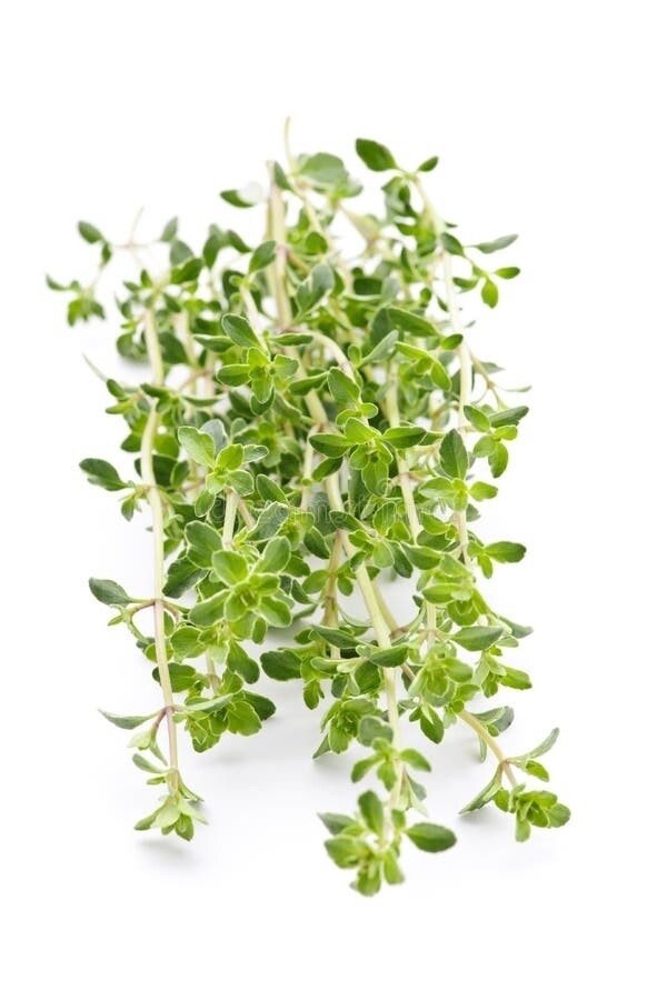 Thyme White 15ml