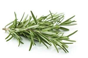 Rosemary 15ml