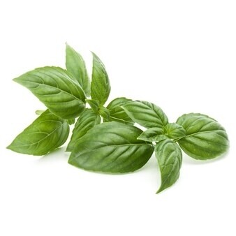 Basil (methyl chavicol) 15ml