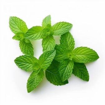 Peppermint 15ml