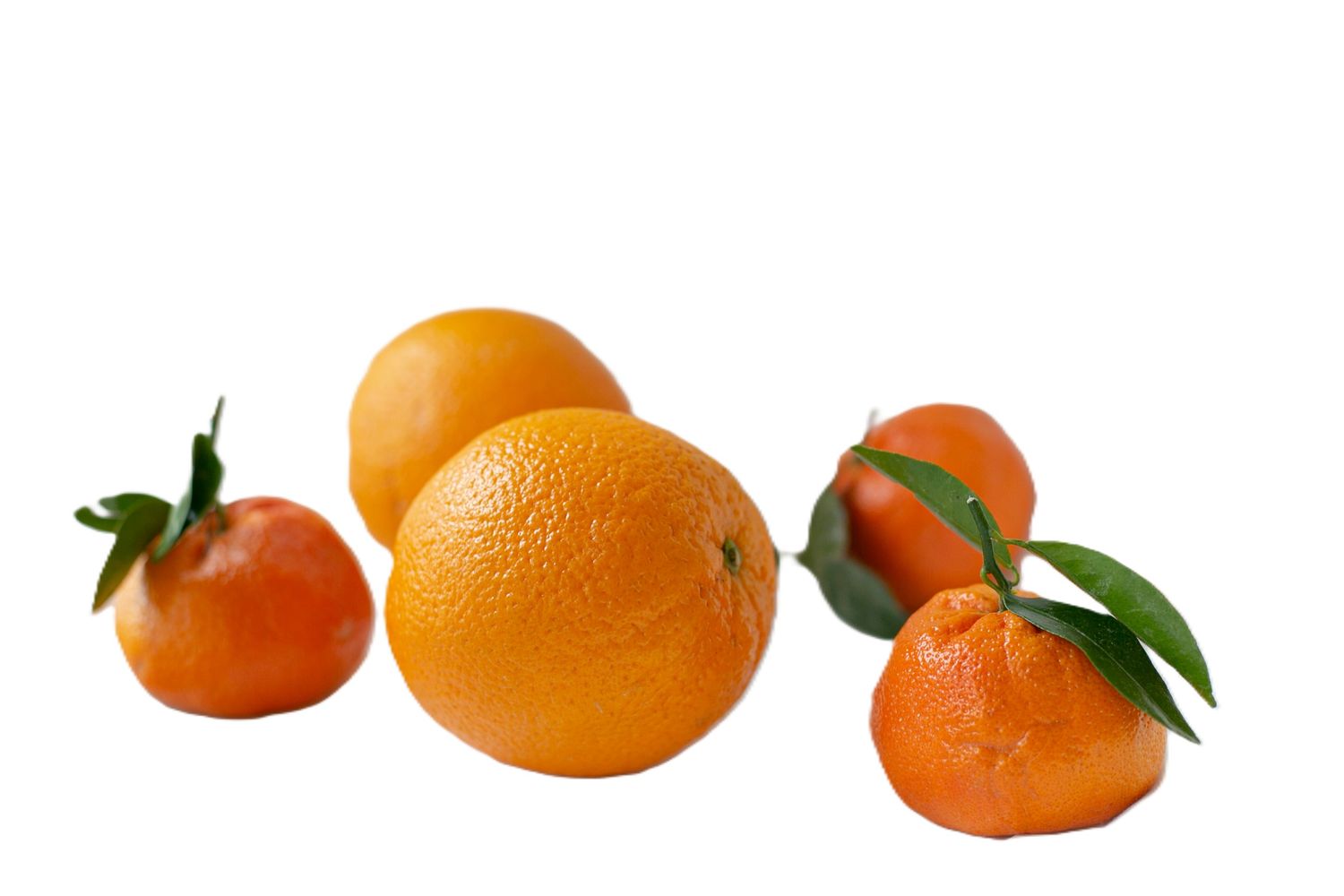 Tangerine 15ml