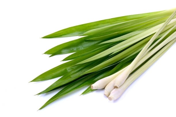 Lemongrass 1oz
