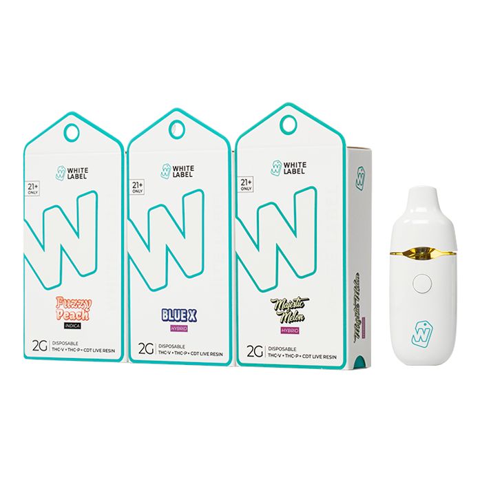 White Label V2 AIO Disposable 2G