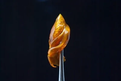 extracts
