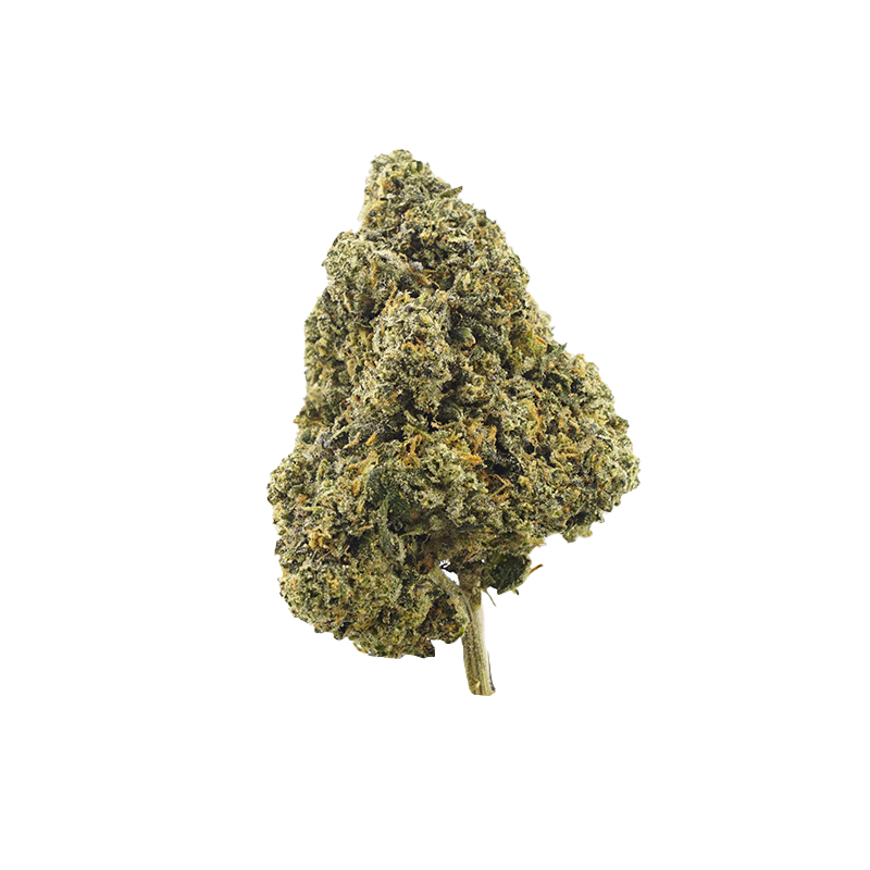 Gelato #33 | AAA Exotic Indoor THCa Flower