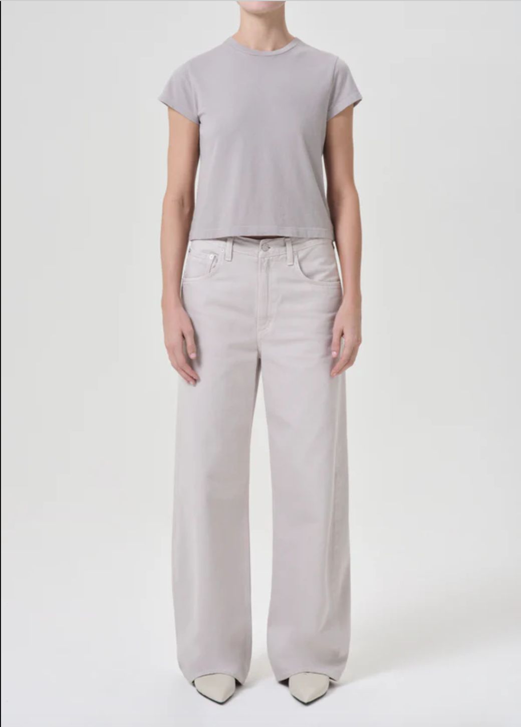 AGolde Low Curve Jean in Soft Focus