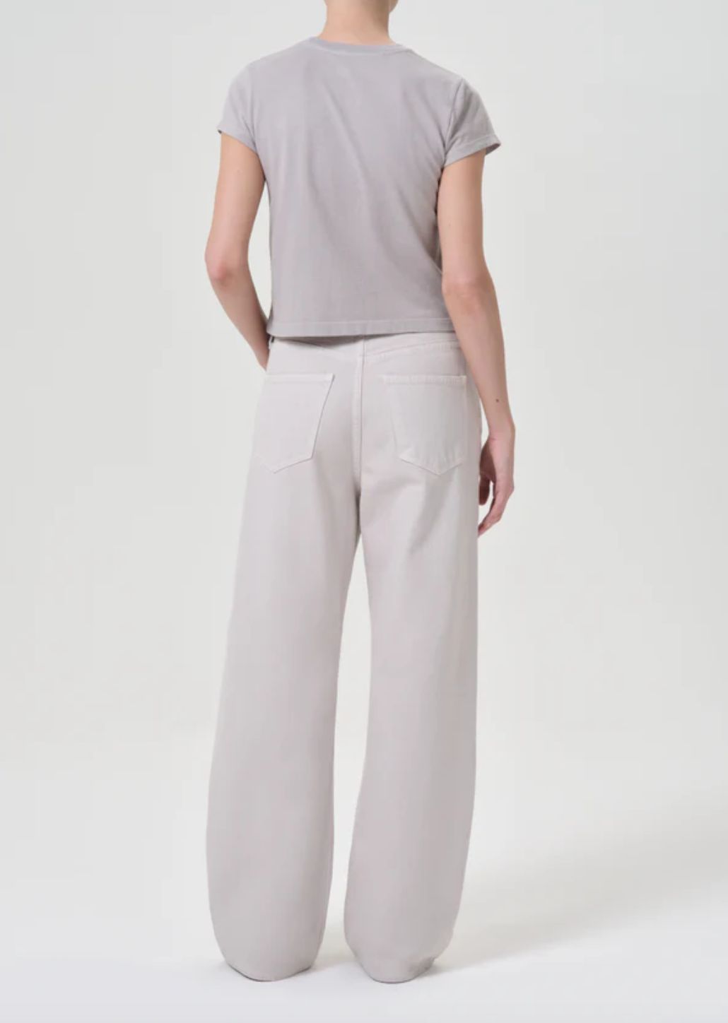 AGolde Low Curve Jean in Soft Focus
