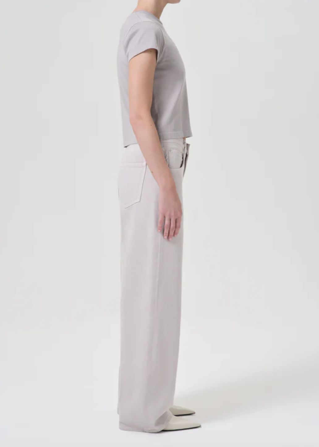 AGolde Low Curve Jean in Soft Focus