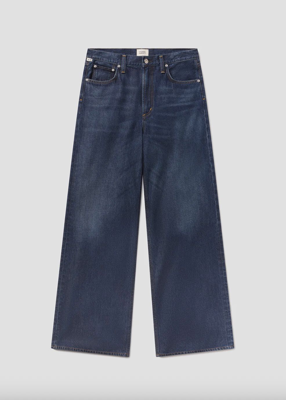 Citizens of Humanity Paloma Baggy Pant