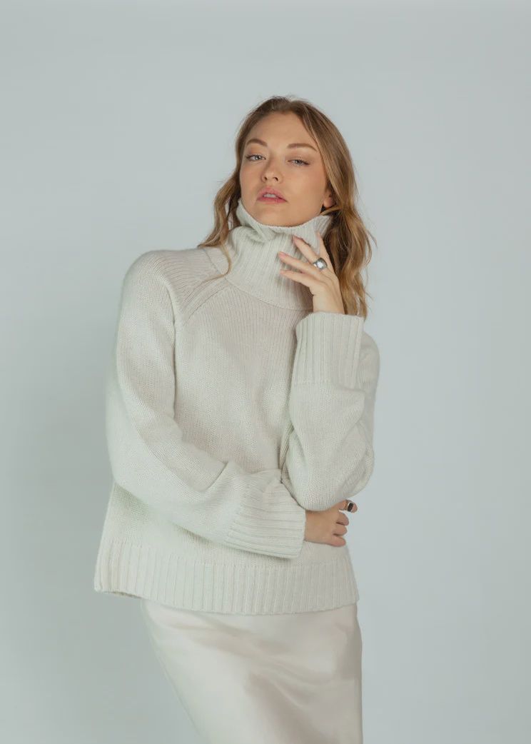 Brazeau Tricot Chunky Turtle Neck Sweater