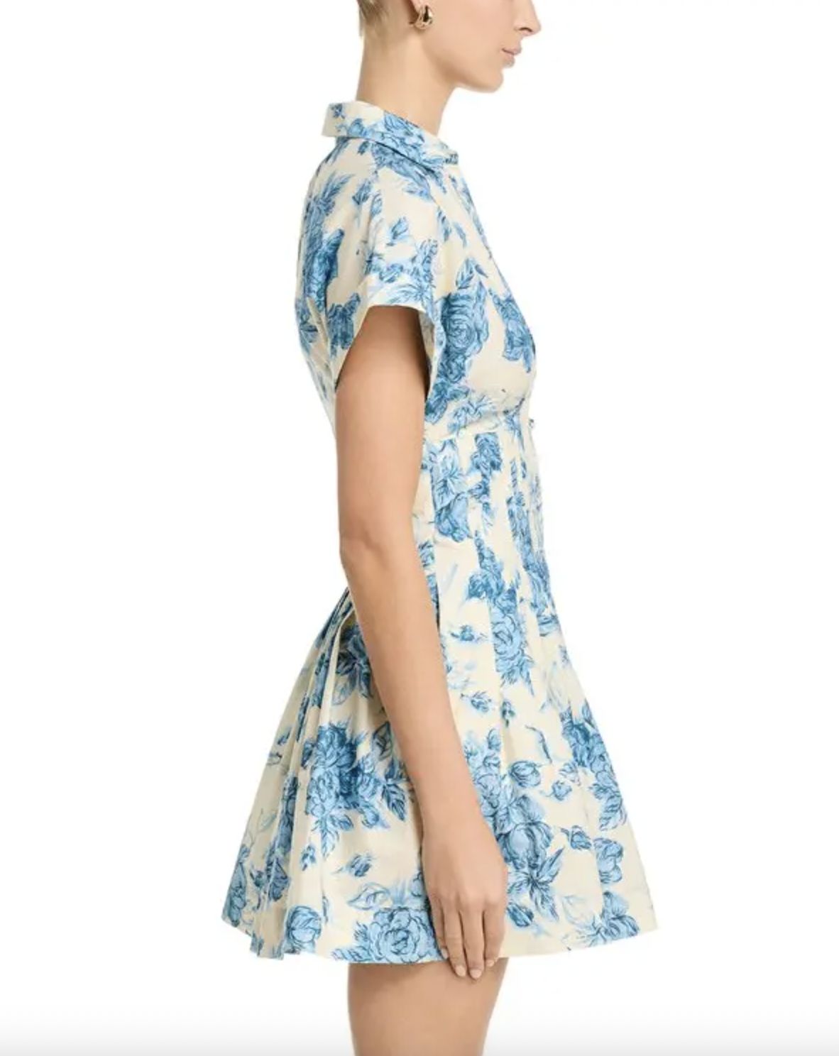 Cara Cara Nash Mini Dress