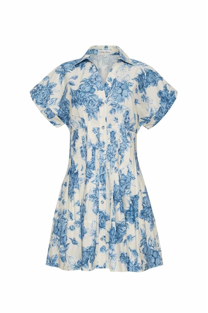 Cara Cara Nash Mini Dress