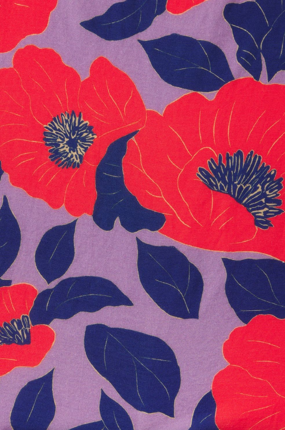 Trovata Flores Culotte Pant