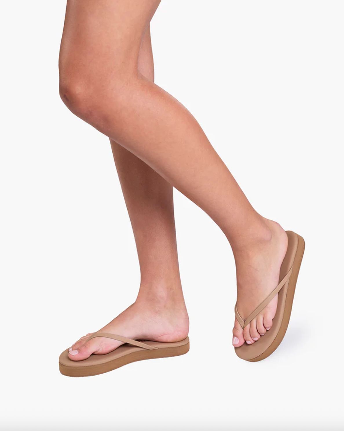 TKEES Platform Lily