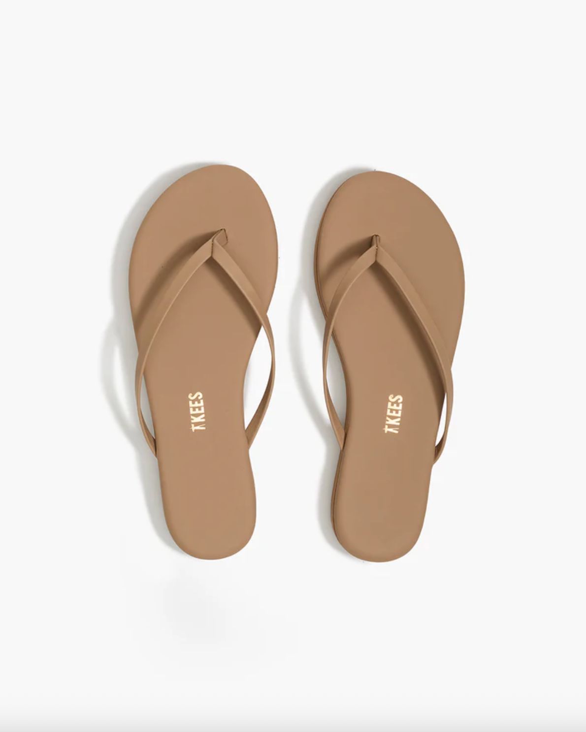 TKEES Platform Lily