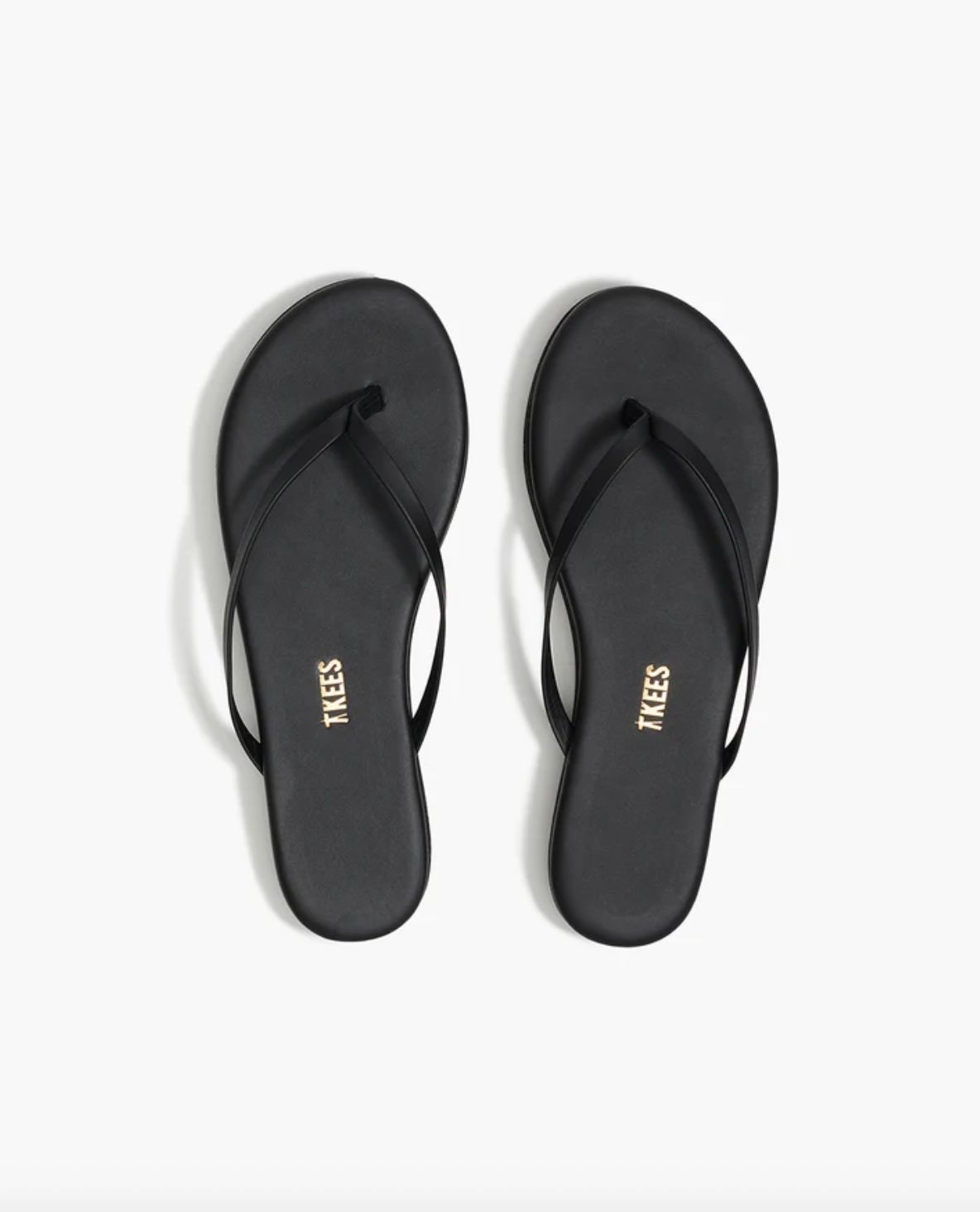 TKEES Platform Lily
