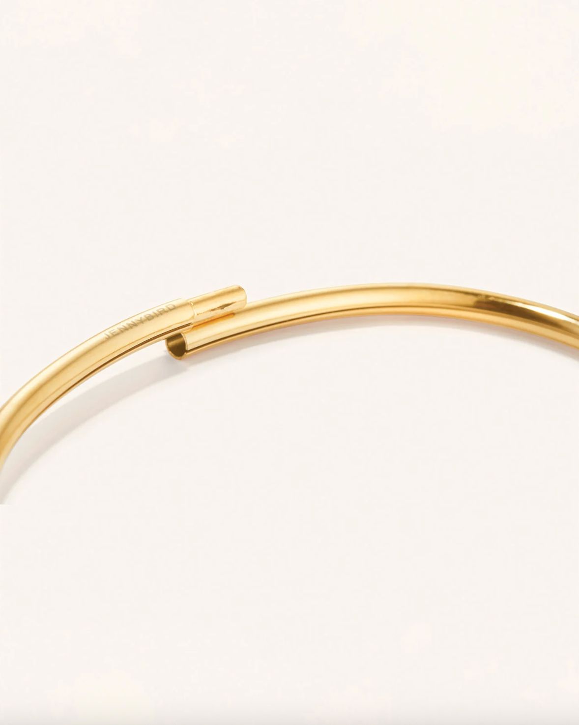 Jenny Bird Dane Anklet