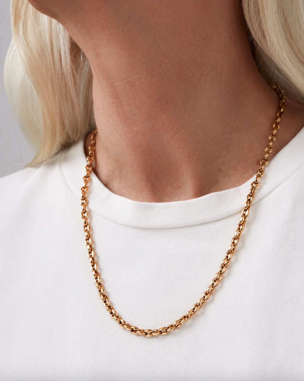 Jenny Bird Dhani Chain in Gold