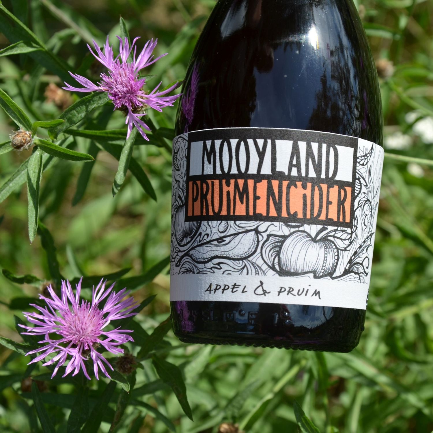 Pruimencider