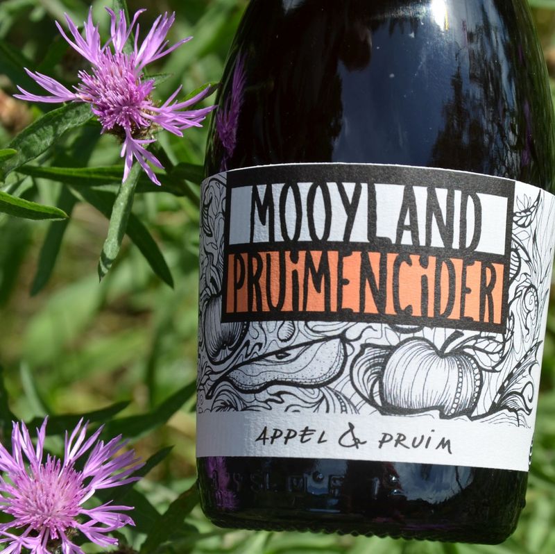 Pruimencider