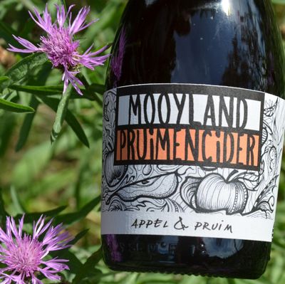 Pruimencider