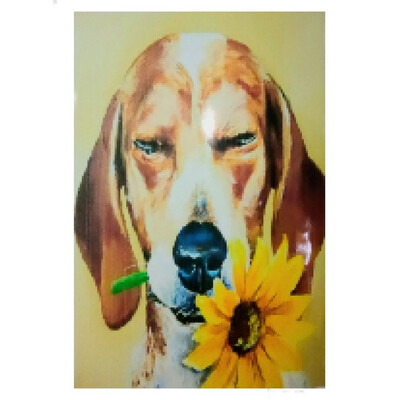 Pinta con Número - Perro con Girasol Modelo F070