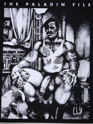 Rex The Paladin File  01c Cover  8.5x11