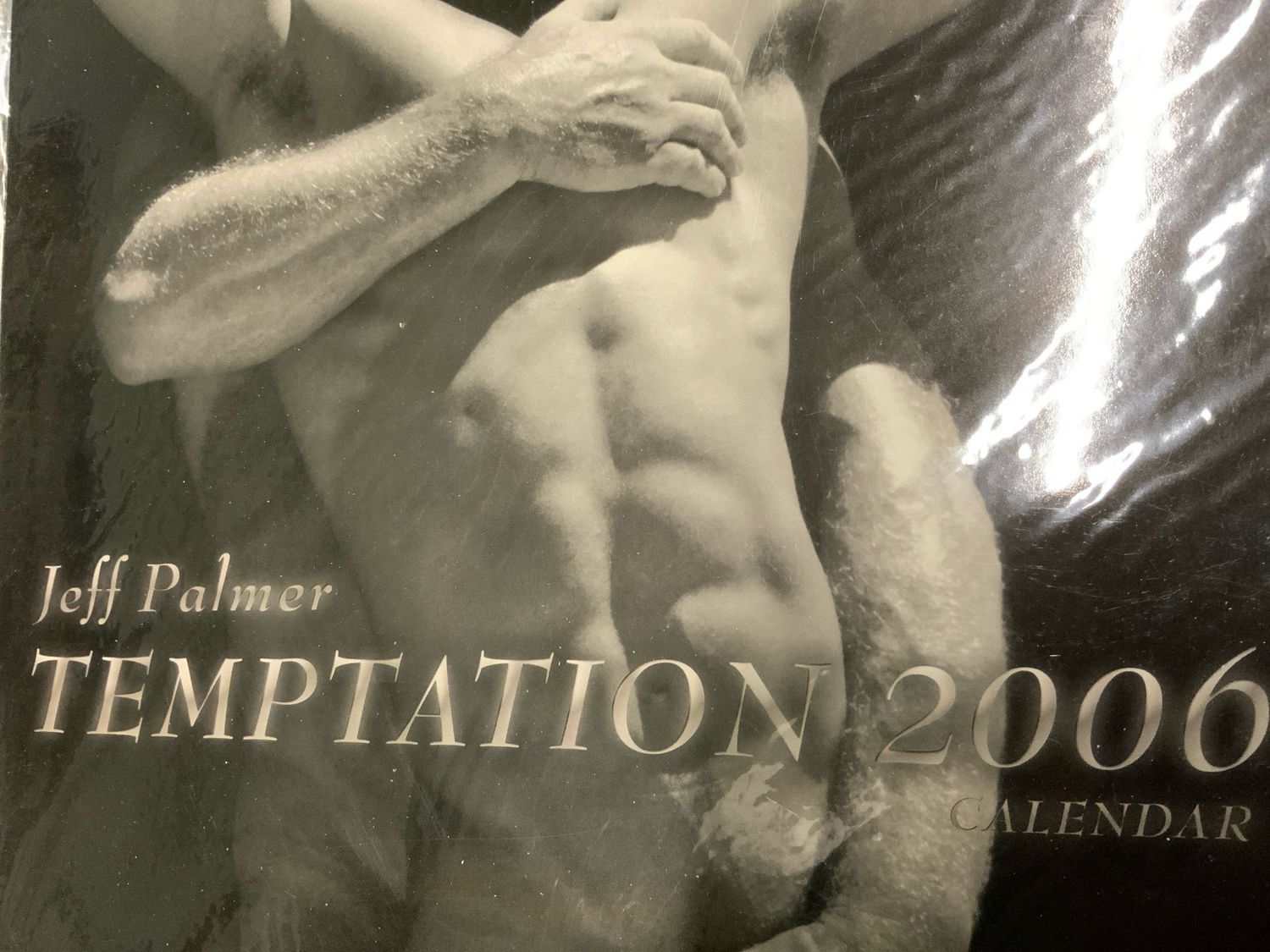 2006 Jeff Palmer Temptation 2006 Calendar