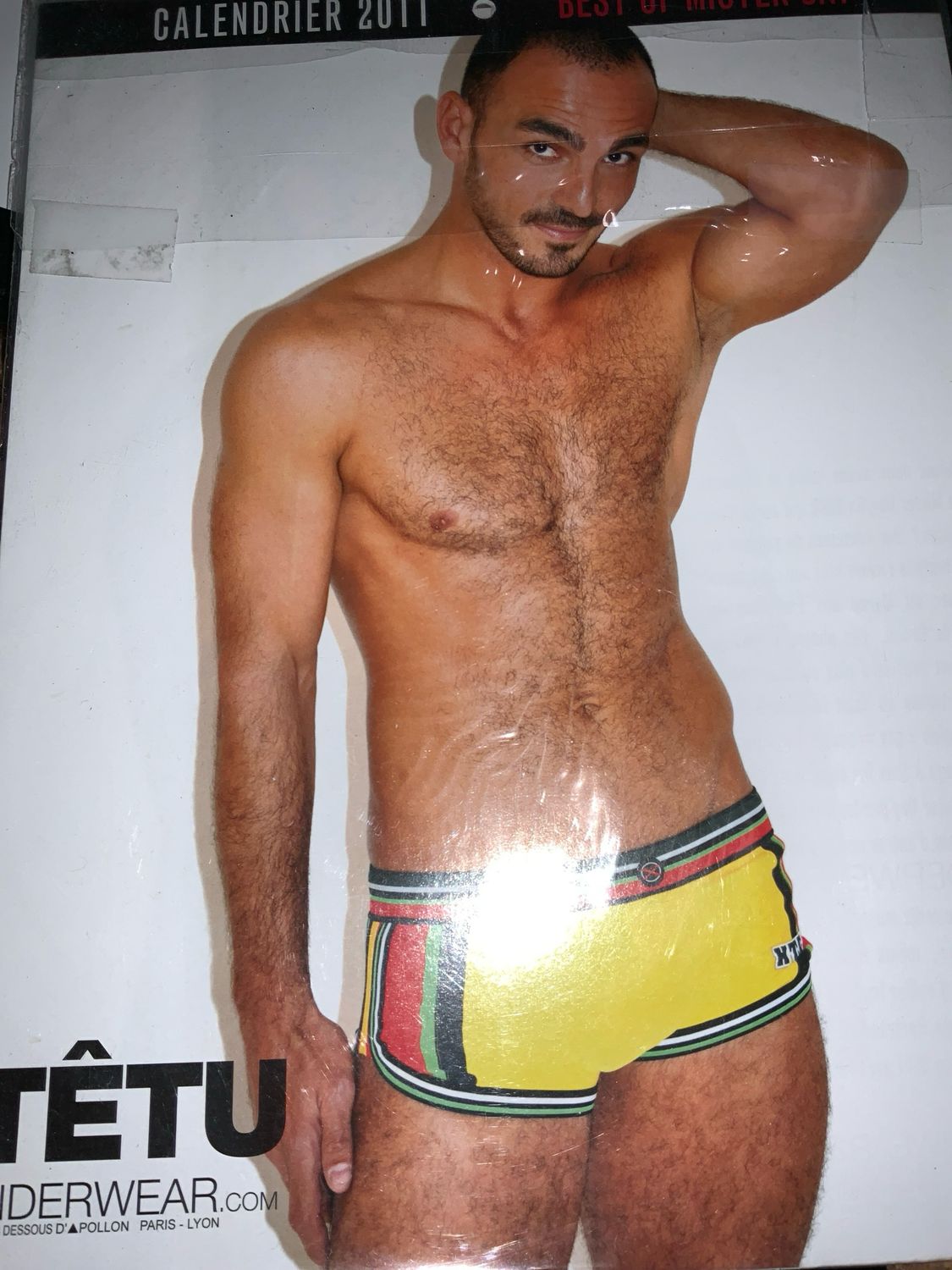 2011 Calendar Best Of Mister Gay Tutu Poland