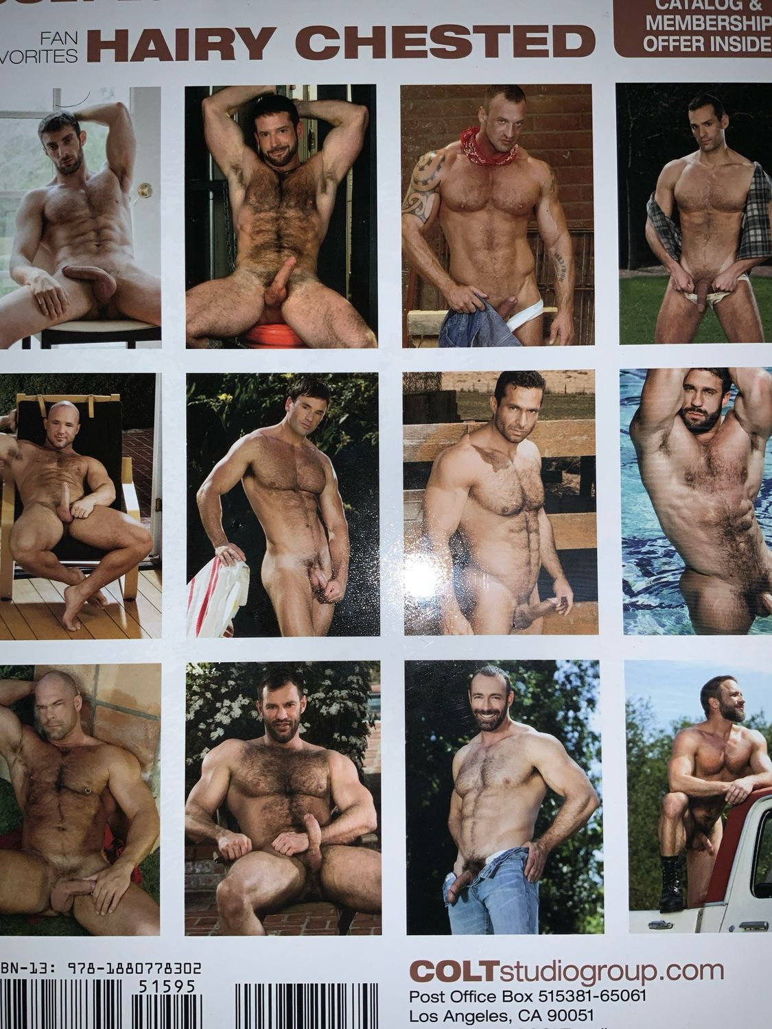 2020 Colt Calendar Hairy Chest