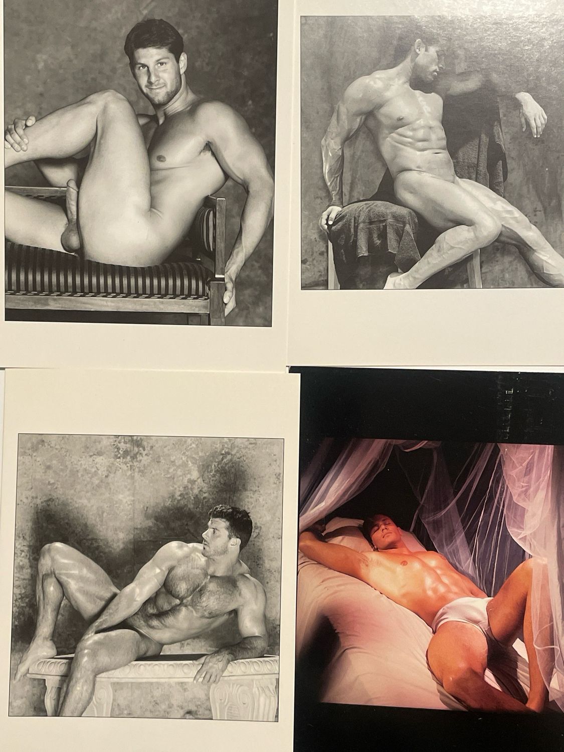 4 Jim French Colt Note Cards blank w Envelopes