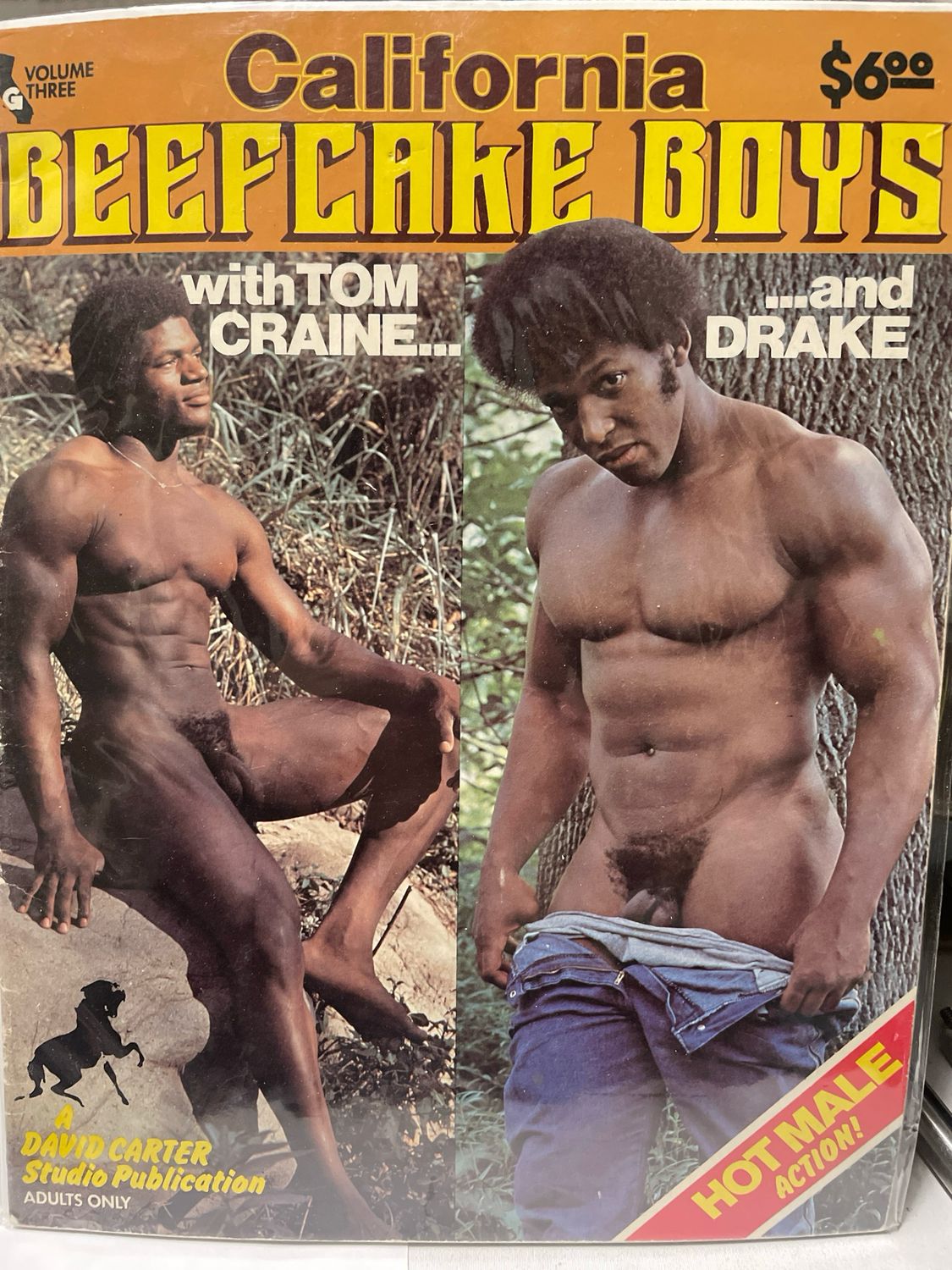 California Beefcake Boys Vol 3 David Carter Very Fine