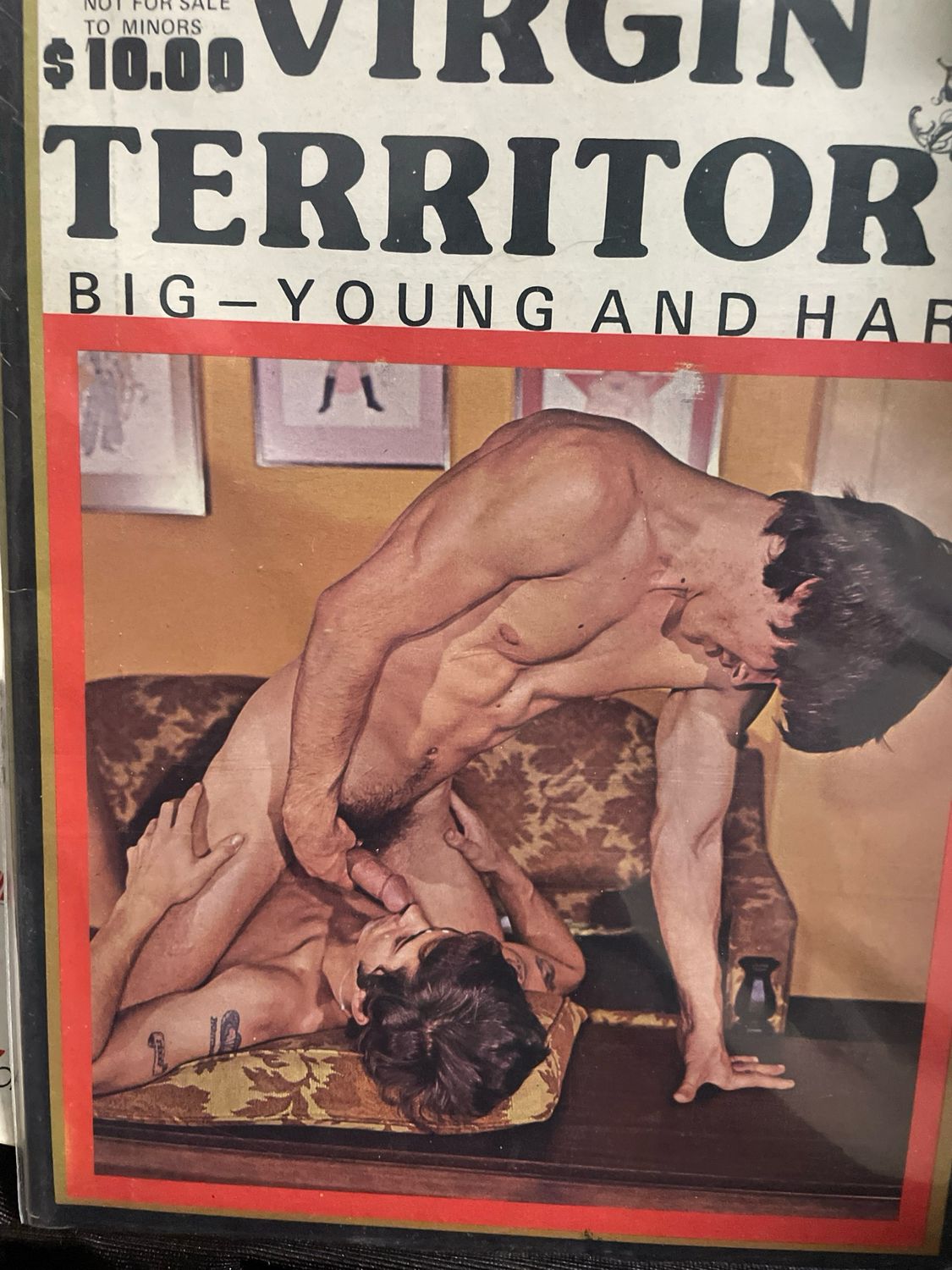 Virgin Territory
