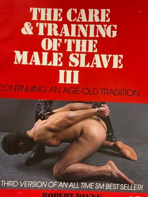 The care training of a slave Robert Payne