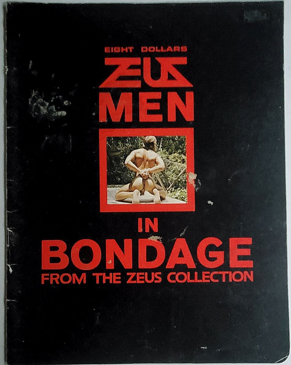 The ZEUS Collection.  ZEUS Men in Bondage