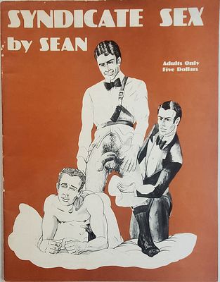 Syndicate Sex - A full size, full length novel heavily Illustrated by SEAN