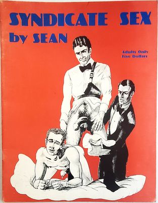Syndicate Sex - A full size, full length novel heavily Illustrated by SEAN