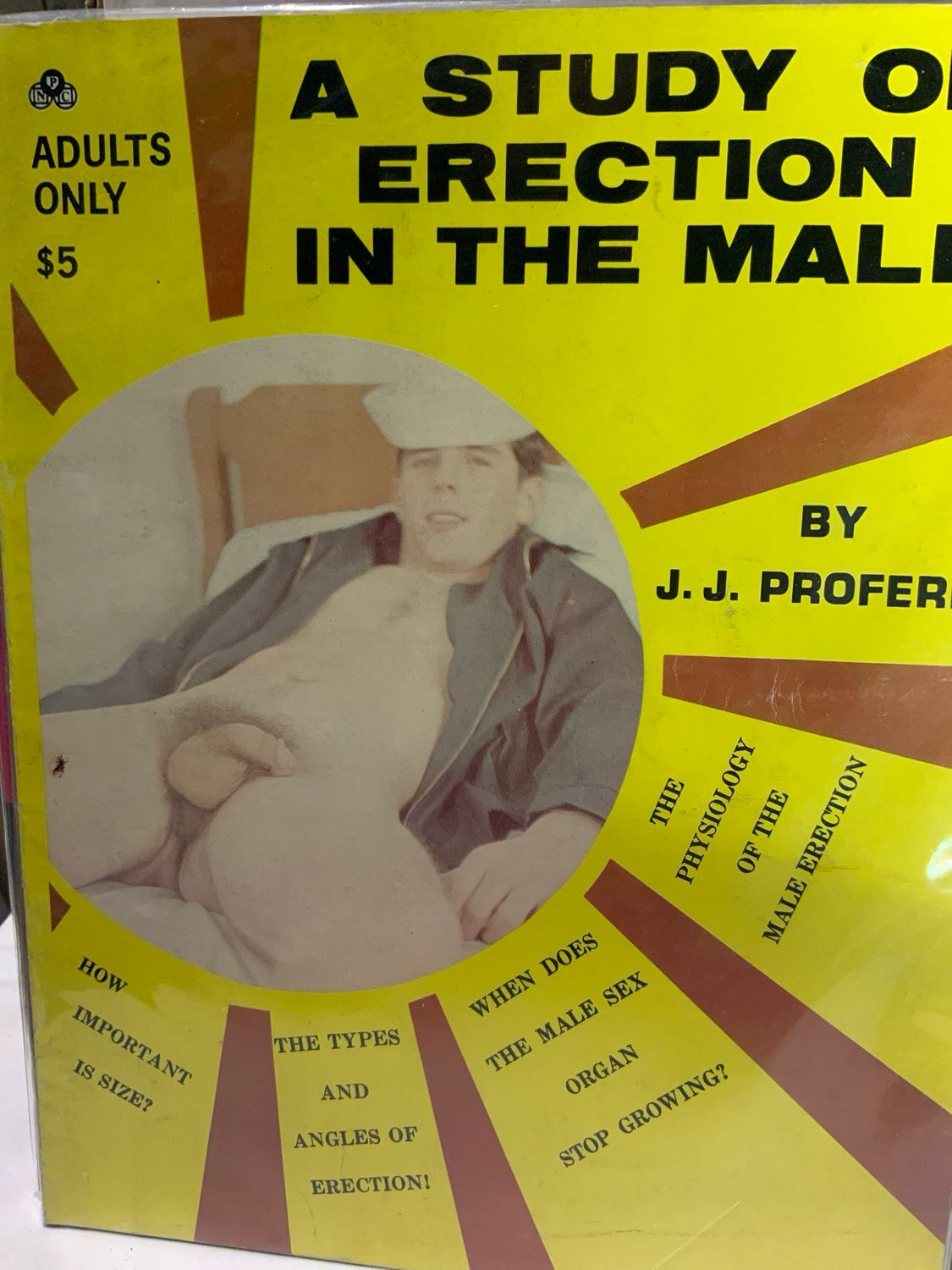 A Study Of Erection In The Male 1972 Guild Press Rare Fine Condition