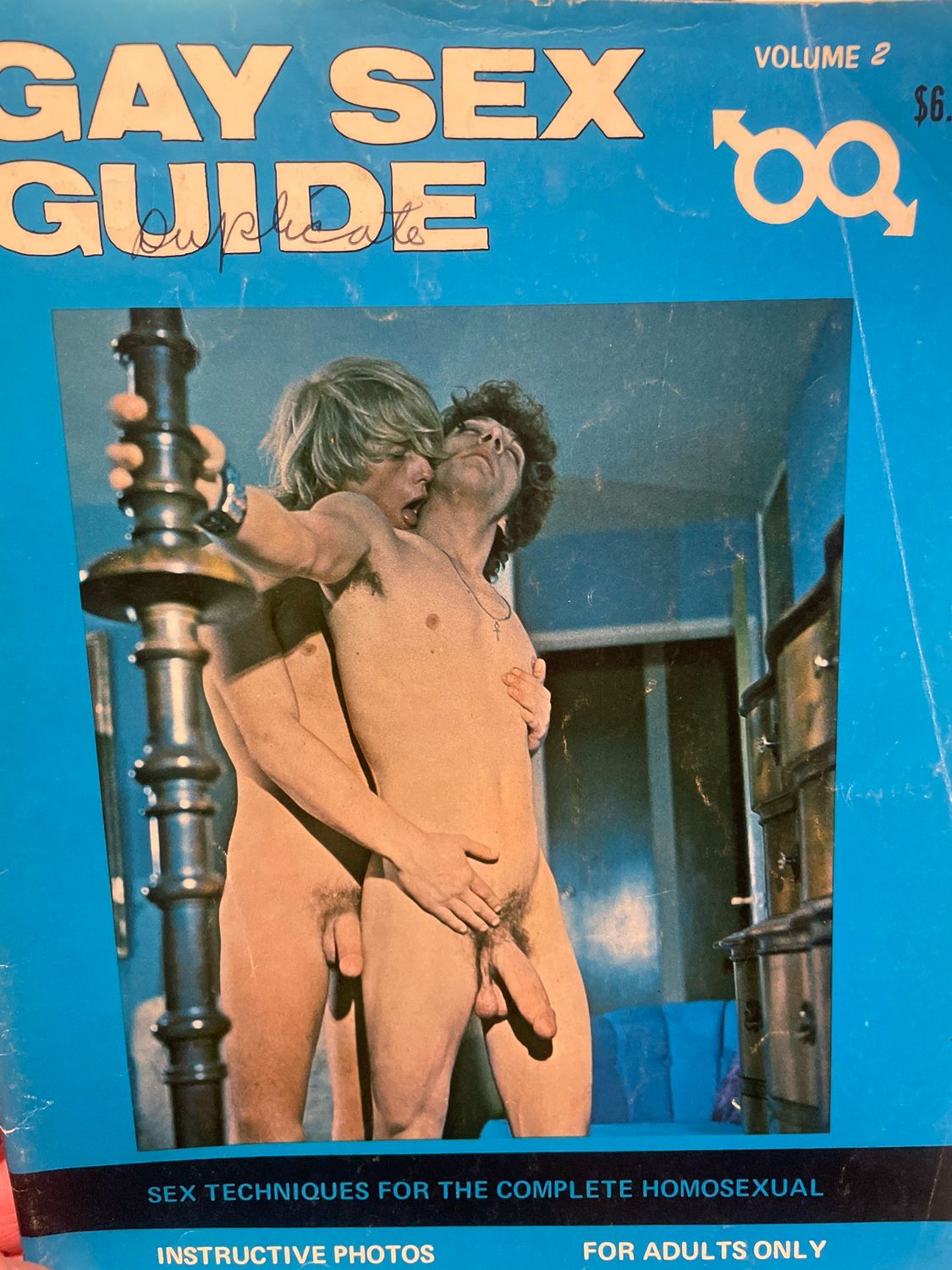 Gay Sex Guide 1969