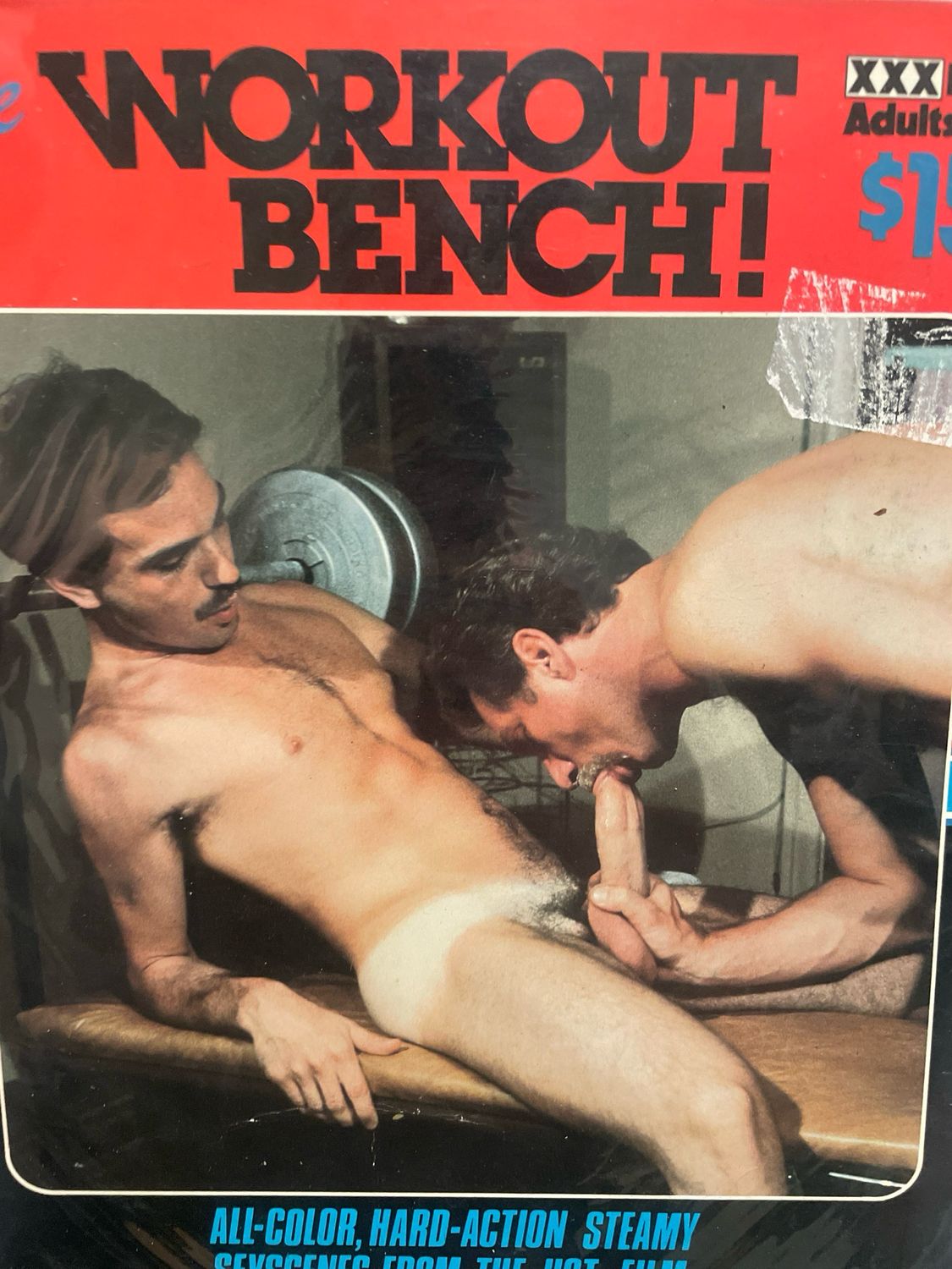 Workout bench LeSalon Wilde house