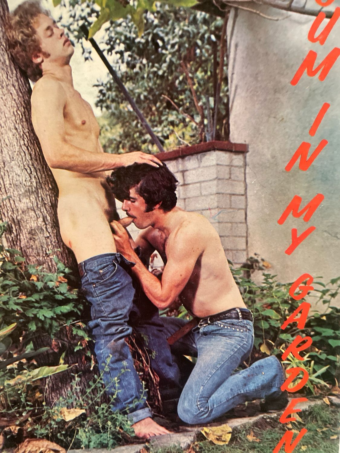 Cummin My Garden 1974