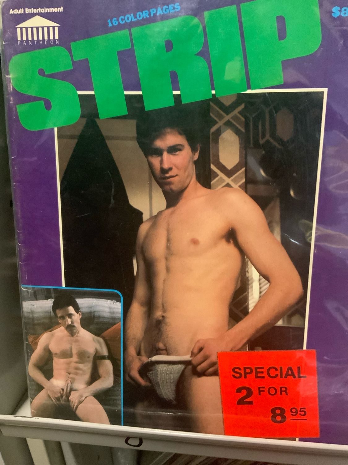 Strip 1982 Pantheon
