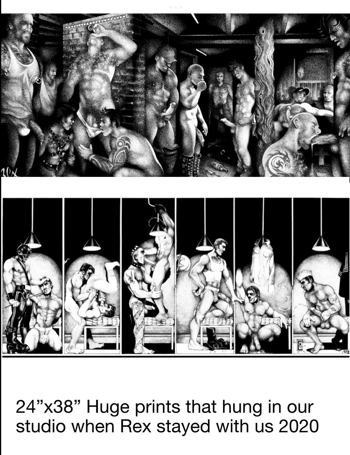 Large Rex Print 24x28 B&amp;W High Definition - Rex Printed And Hung In Our Studio When Rex Lived With Us In 2020 $250 Ea Pick 1