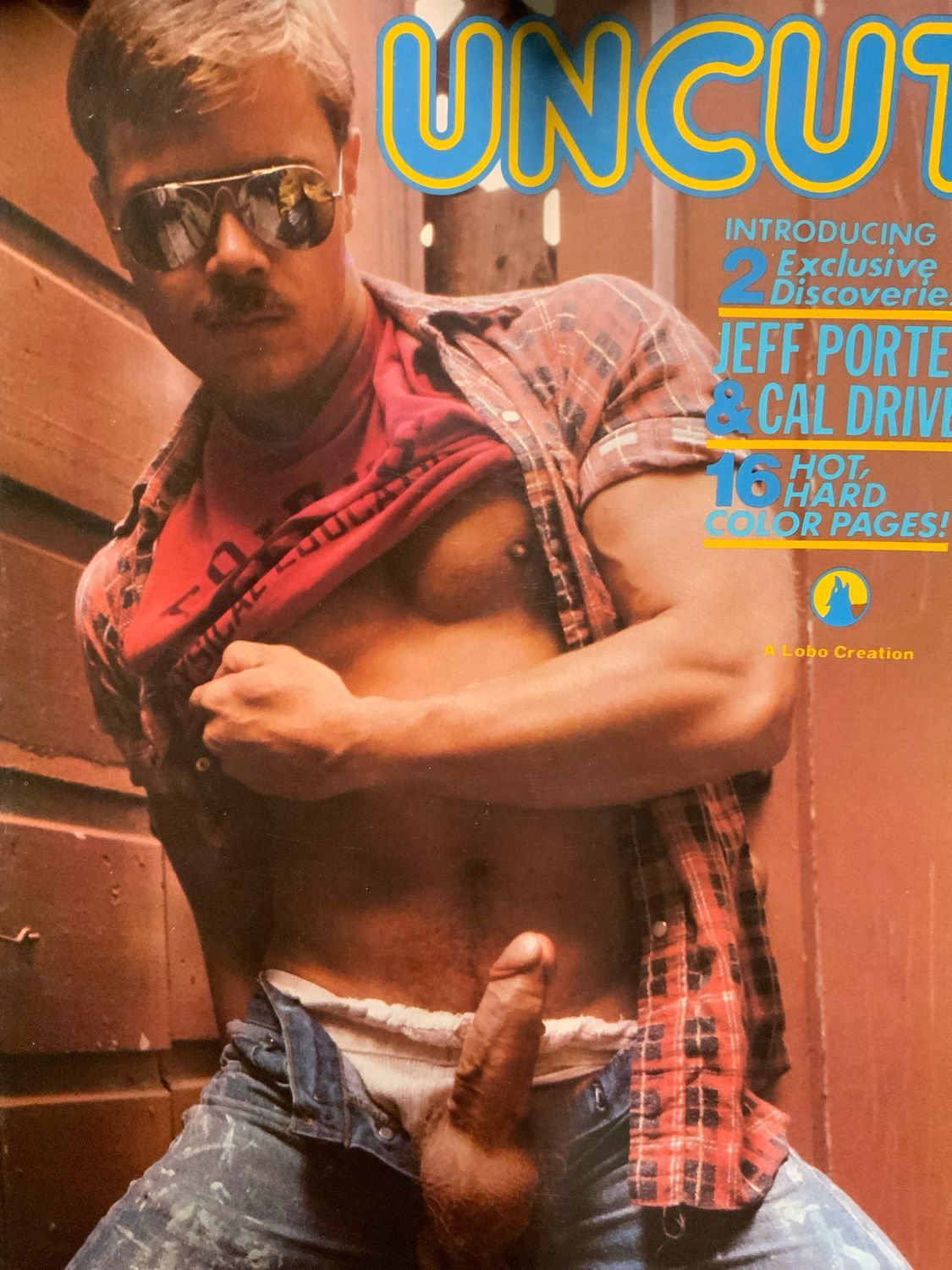 Uncut  1980 LeSalon By Lobo Creation Jeff Porter Cal Driver