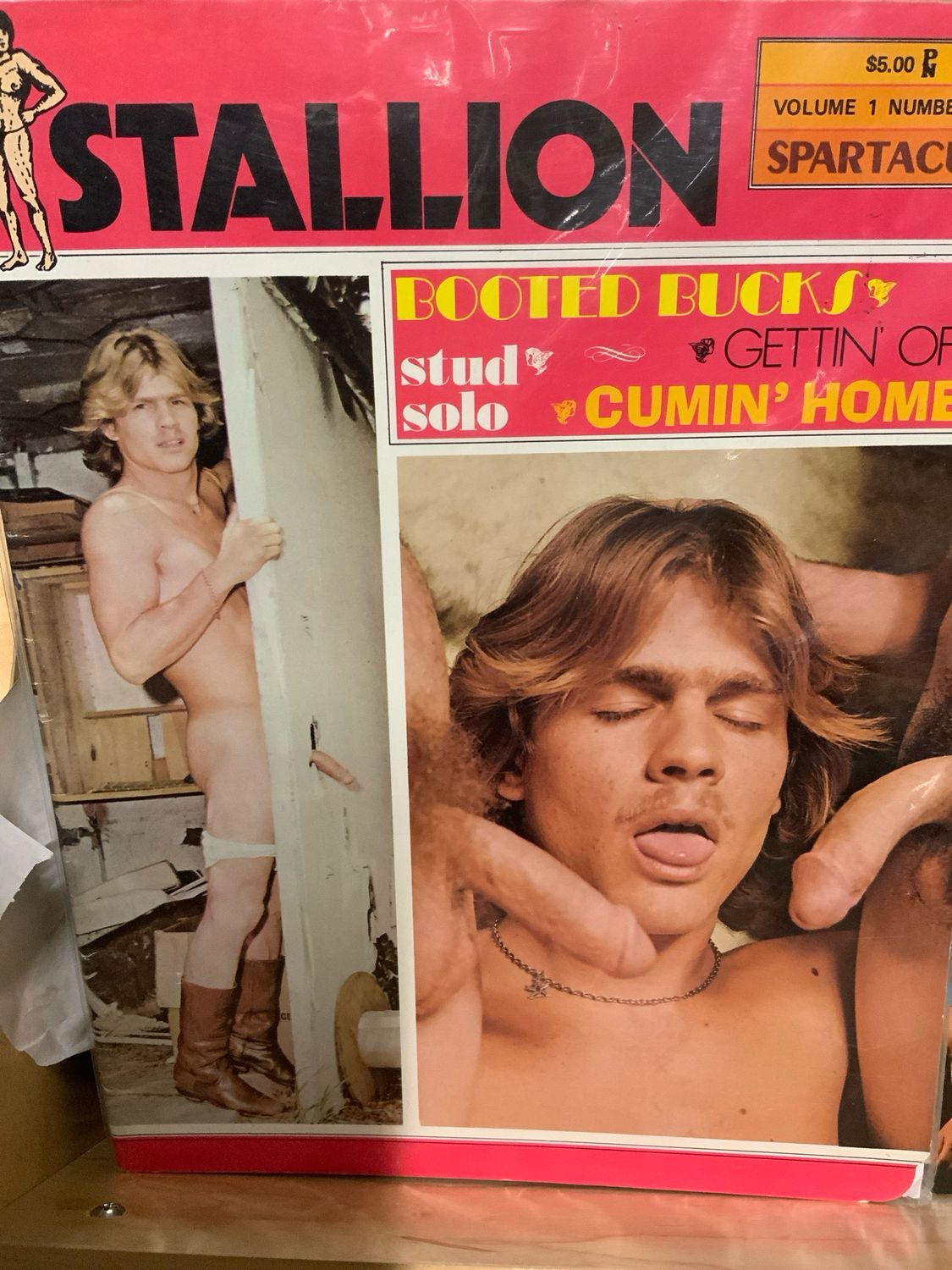 Stallion Vol 1 1975