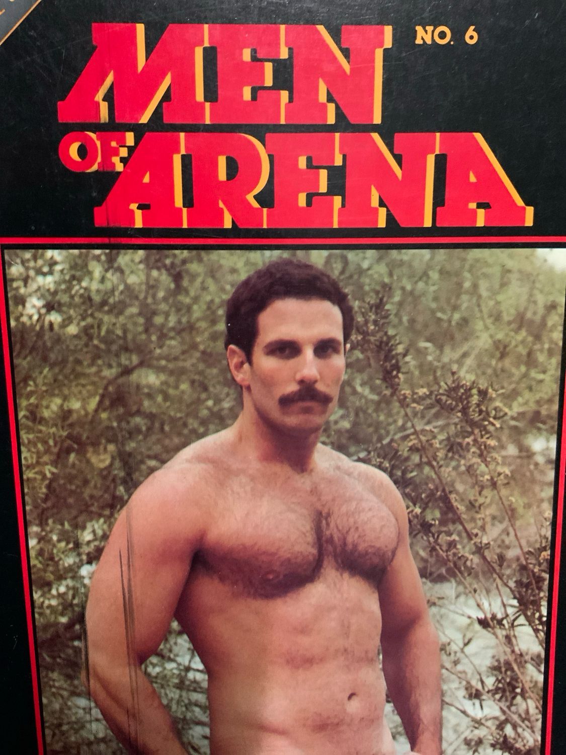 Men Of Arena No 6