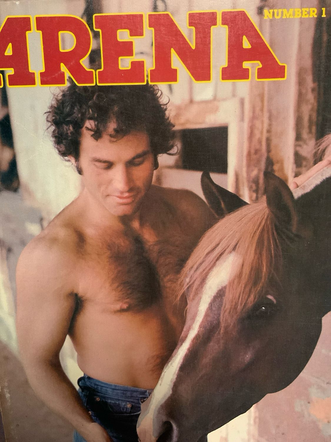 Arena No 1