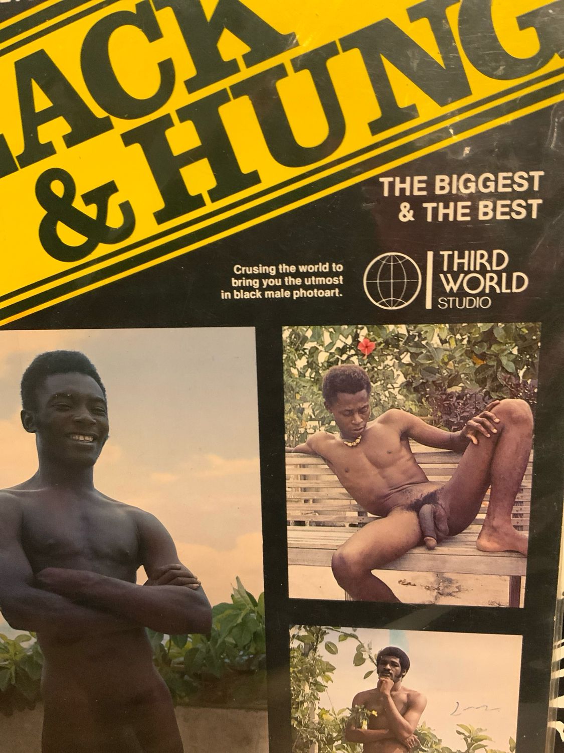 Black &amp; Hung