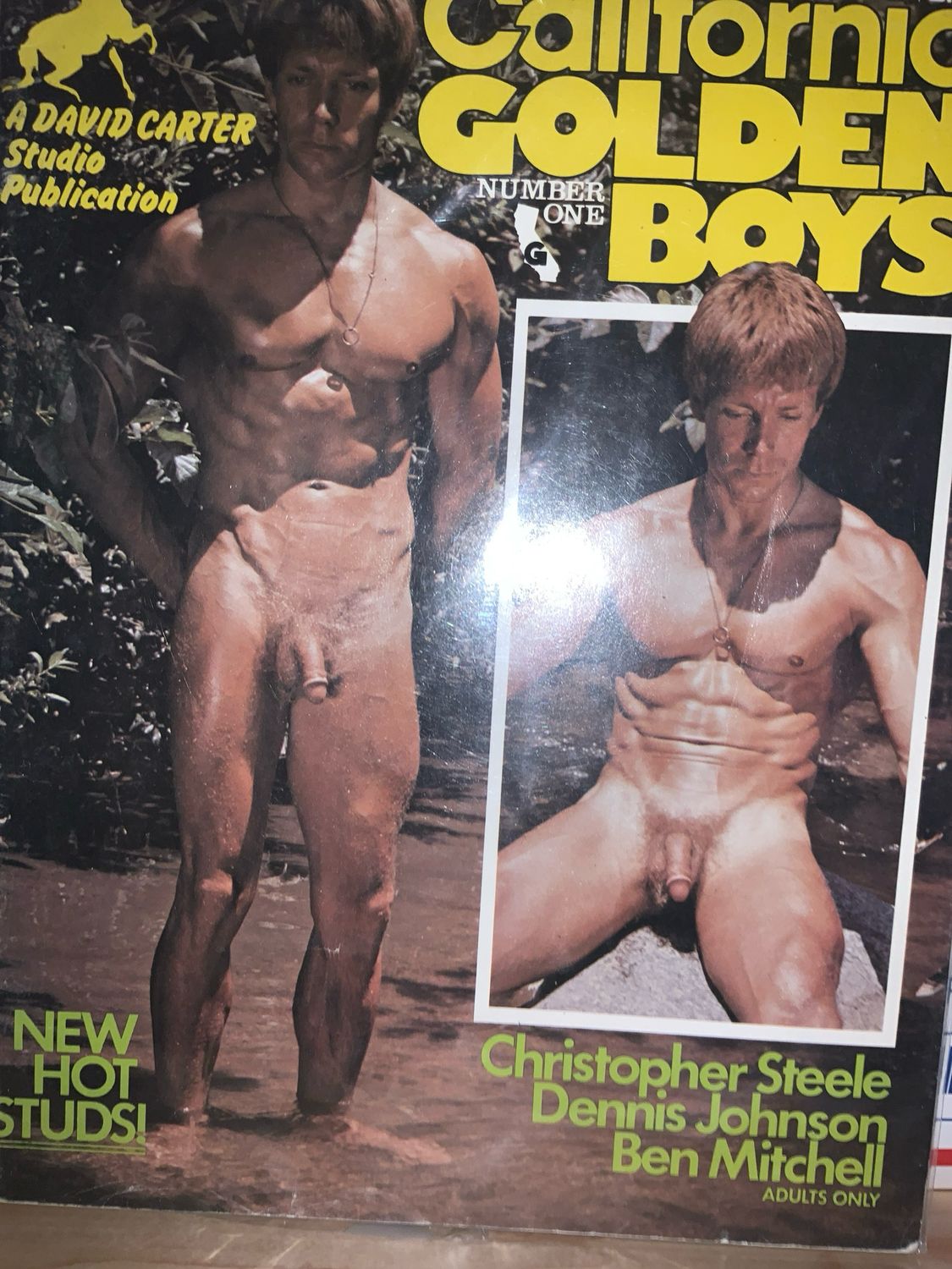 California Golden Boy David Carter